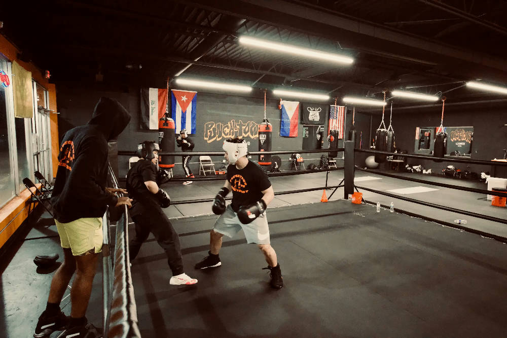 boxers training at the gym